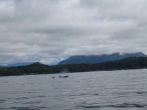 18 august 2007 web066.jpg (134894 byte)