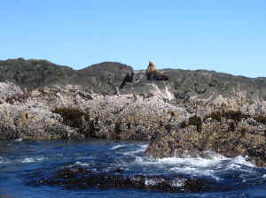 18 august 2007 web075.jpg (215379 byte)