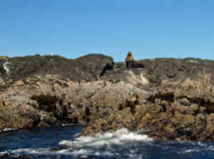 18 august 2007 web076.jpg (188480 byte)