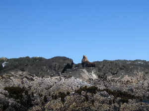 18 august 2007 web077.jpg (188041 byte)