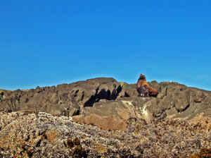 18 august 2007 web078.jpg (232572 byte)