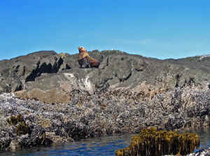 18 august 2007 web079.jpg (242137 byte)