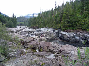 20 august 2007 web004.jpg (250121 byte)