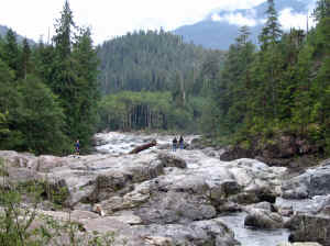 20 august 2007 web005.jpg (240068 byte)