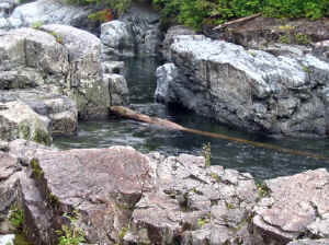 20 august 2007 web006.jpg (272429 byte)