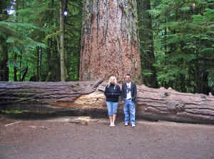 20 august 2007 web009.jpg (280121 byte)