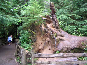 20 august 2007 web010.jpg (297049 byte)