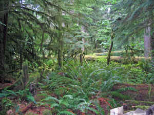 20 august 2007 web011.jpg (310012 byte)