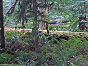 20 august 2007 web012.jpg (309241 byte)