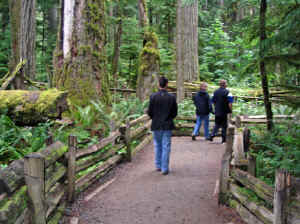 20 august 2007 web014.jpg (280875 byte)