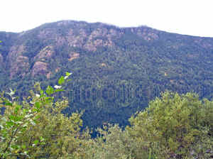 20 august 2007 web021.jpg (263358 byte)