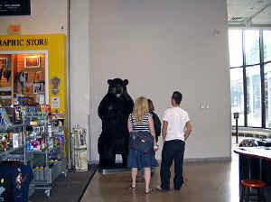 21 august 2007 web009.jpg (261268 byte)