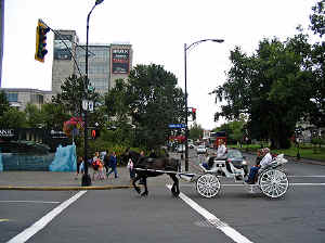 21 august 2007 web012.jpg (255797 byte)