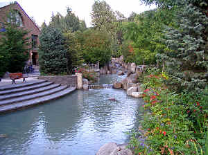 22 august 2007 web008.jpg (332335 byte)