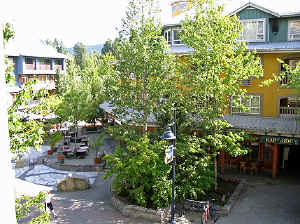 23 august 2007 web002.jpg (331888 byte)