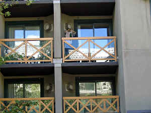 23 august 2007 web006.jpg (255734 byte)