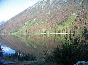 23 august 2007 web007.jpg (305653 byte)