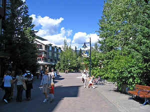 23 august 2007 web008.jpg (314686 byte)