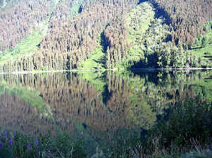 23 august 2007 web008.jpg (342795 byte)