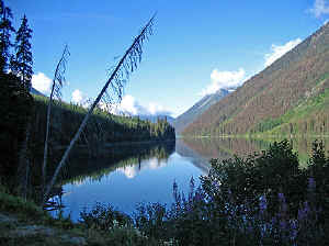 23 august 2007 web009.jpg (274948 byte)