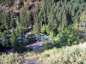 23 august 2007 web013.jpg (389842 byte)