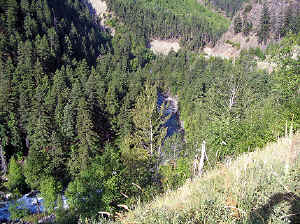 23 august 2007 web014.jpg (374880 byte)