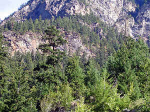 23 august 2007 web016.jpg (386415 byte)