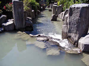 23 august 2007 web020.jpg (274358 byte)