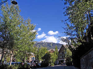 23 august 2007 web028.jpg (338659 byte)