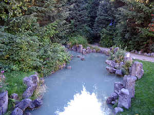 23 august 2007 web029.jpg (324382 byte)