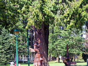 23 august 2007 web037.jpg (383563 byte)