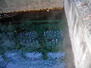 23 august 2007 web044.jpg (302841 byte)