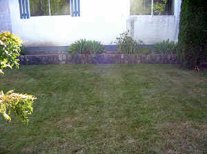 23 august 2007 web049.jpg (283683 byte)