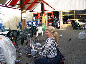 24 august 2007 web045.jpg (304666 byte)