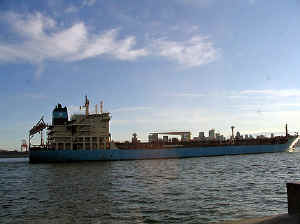 27 august 2007 web027.jpg (238553 byte)