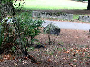 28 august 2007 web013.jpg (343013 byte)