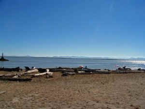 28 august 2007 web015.jpg (212652 byte)