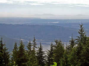 28 august 2007 web020.jpg (256423 byte)