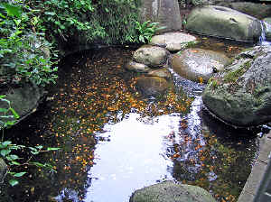 28 august 2007 web027.jpg (350878 byte)