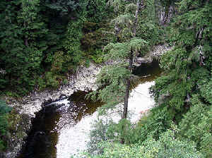 28 august 2007 web032.jpg (350994 byte)