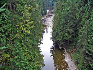 28 august 2007 web033.jpg (361535 byte)