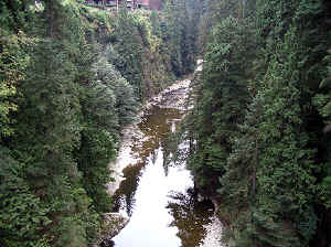 28 august 2007 web035.jpg (325648 byte)