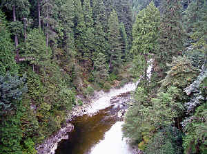 28 august 2007 web036.jpg (364806 byte)