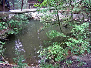 28 august 2007 web041.jpg (381045 byte)