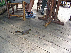 28 august 2007 web047.jpg (291714 byte)