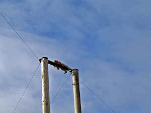 28 august 2007 web067.jpg (216951 byte)