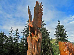 28 august 2007 web071.jpg (300364 byte)