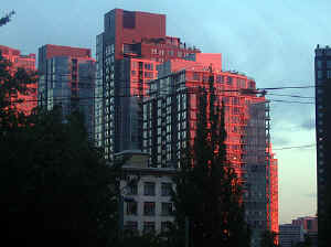 30 august 2007 web024.jpg (270703 byte)