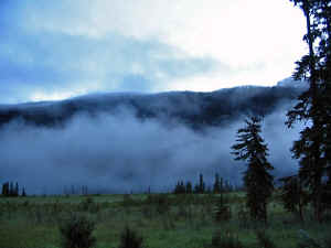 8 august 2007 web003.jpg (191556 byte)