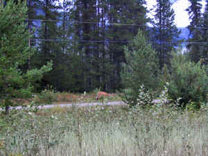 8 august 2007 web008.jpg (334205 byte)